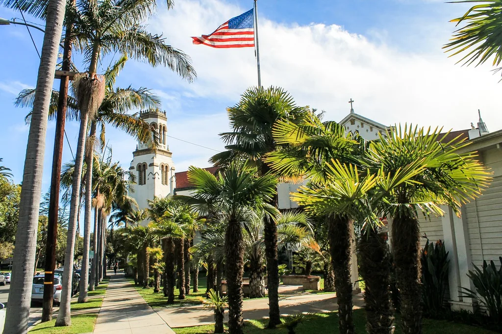 Palm trees in Santa Barbara