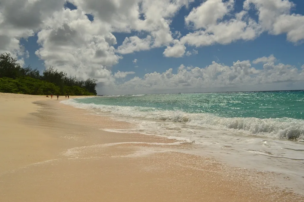 Beach and turquoise sea in Barbados