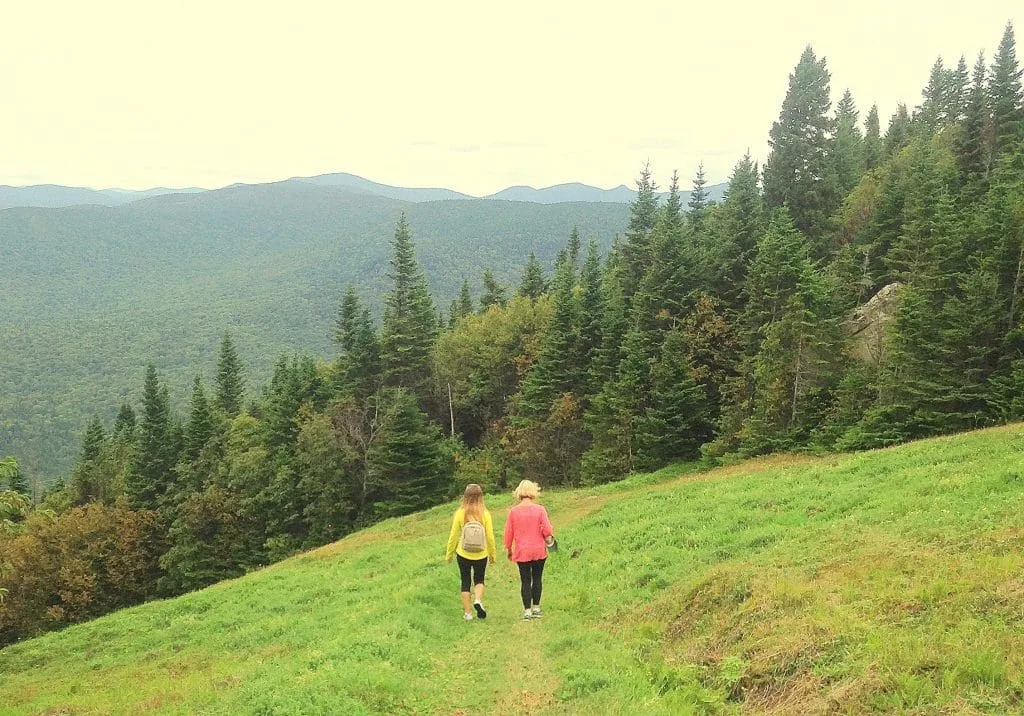 Green pastures and forests around Quebec
