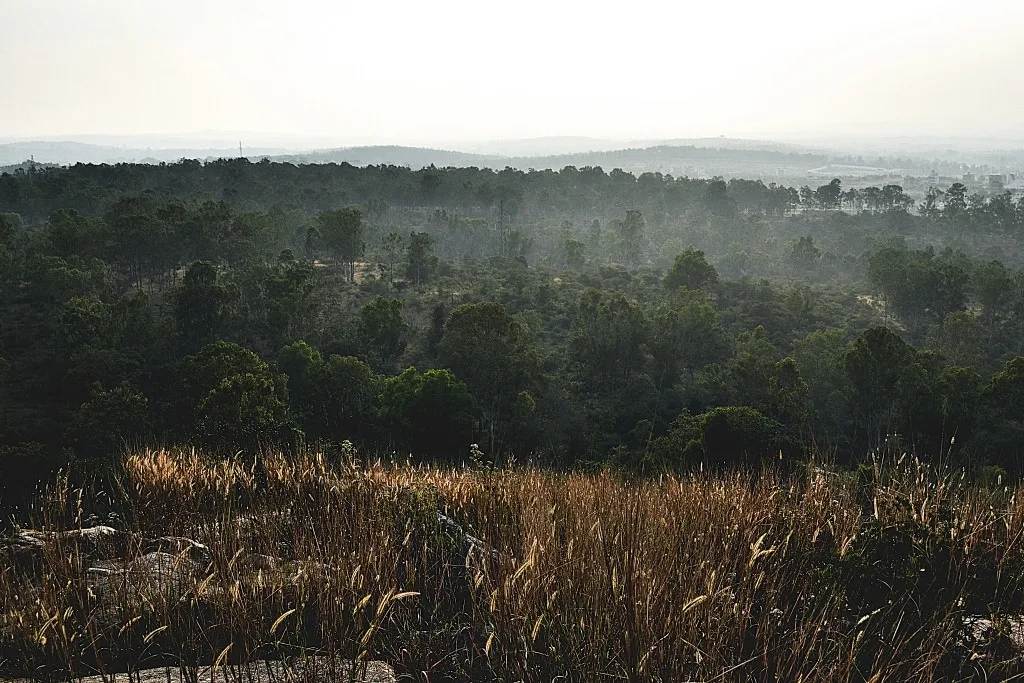 Turahalli Forest, Last Forest near Bangalore