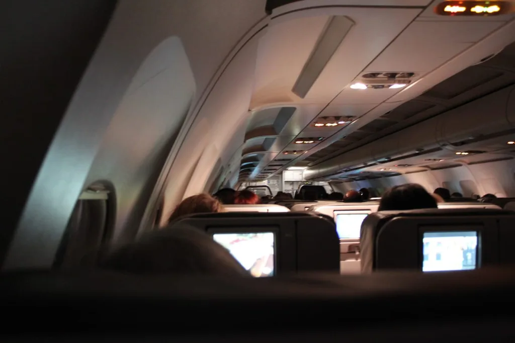 Plane passenger seat
