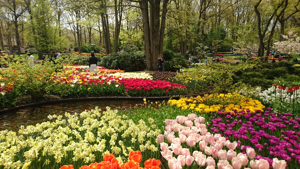 1 Karlien van der Wielen A Guide To Keukenhof