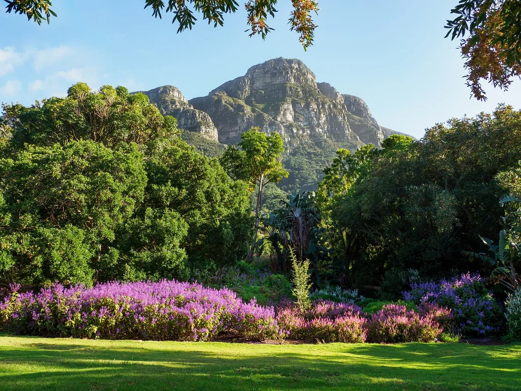 Botanical garden in South Africa