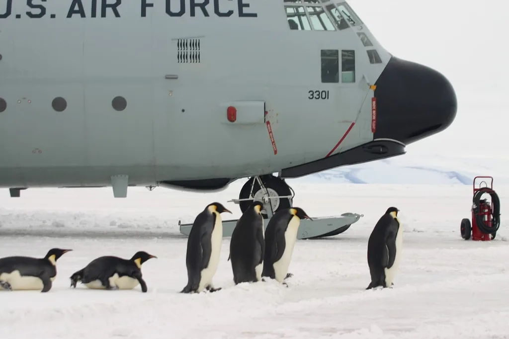Aircraft near base camp in Antarctica