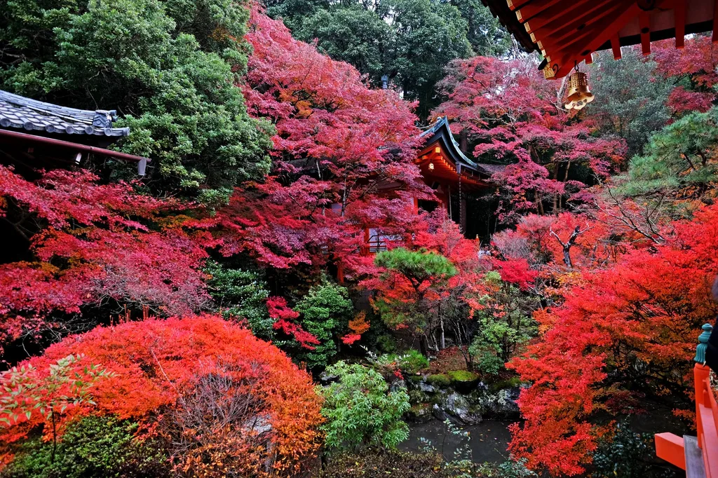 Autumn in Japan is wonderful for a visit