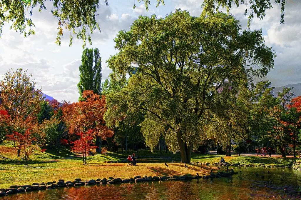 Colors of autumn in Hokkaido