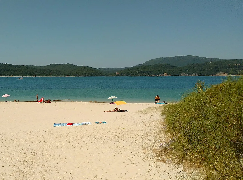 Pines and white sand on Troia beach