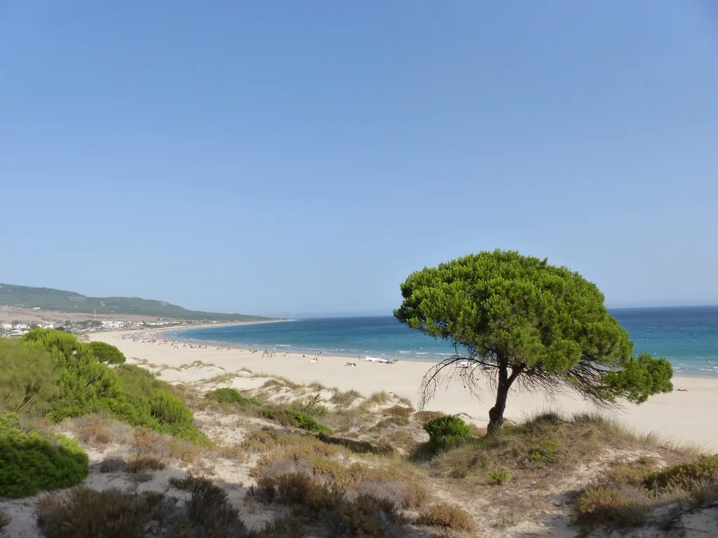Tranquility of Playa de Bolonia Beach