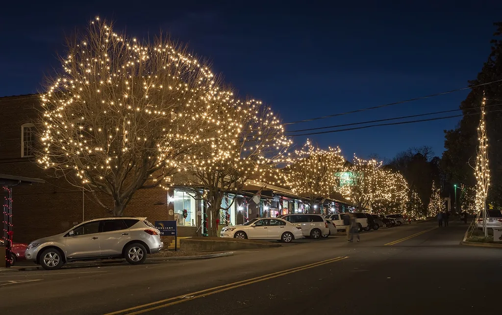 Christmas trees in district of McAdenville, North Carolina