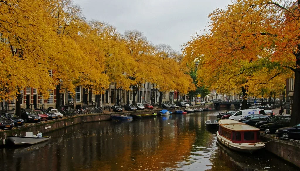 Colors of autumn in Amsterdam