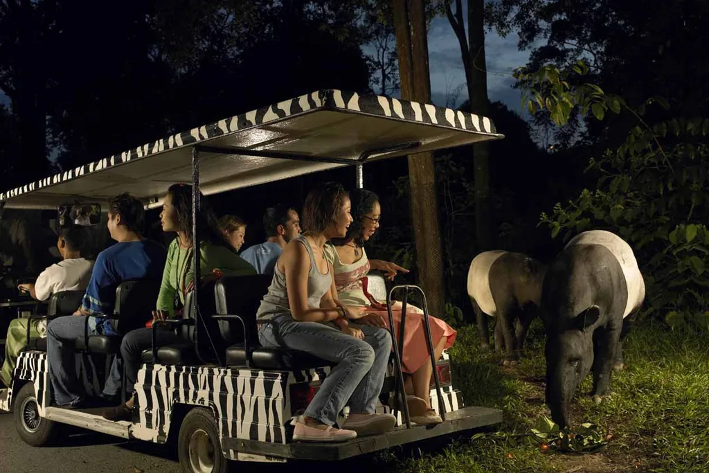 Family Exited Interacting with Animals at Night Zoo Safari