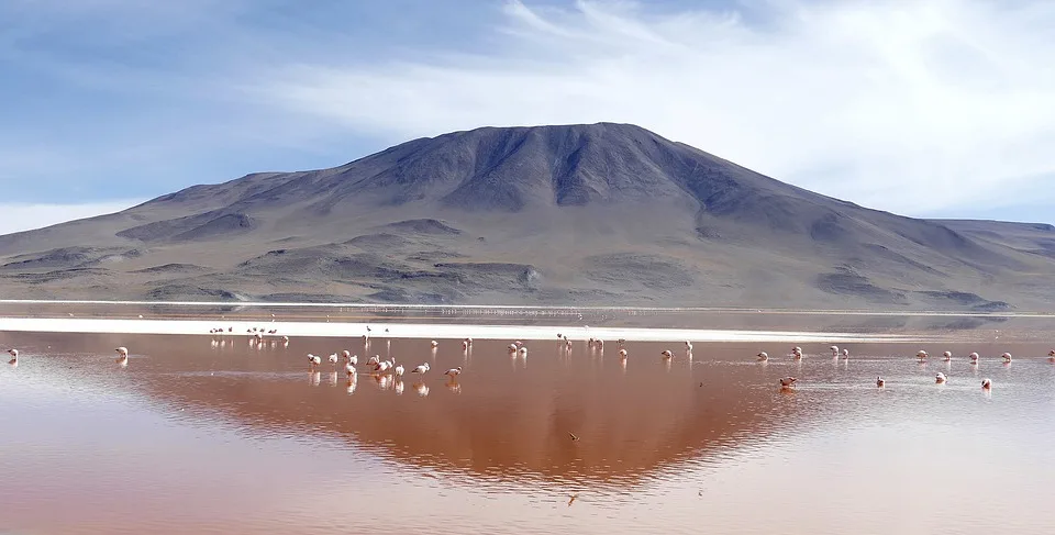 Flamingos in Laguna Colorada