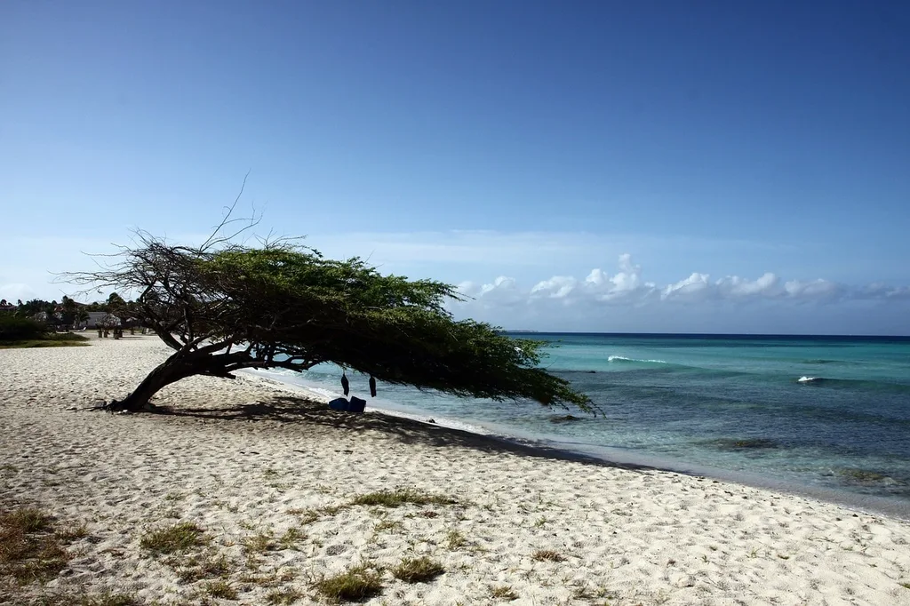 Aruba beach in September