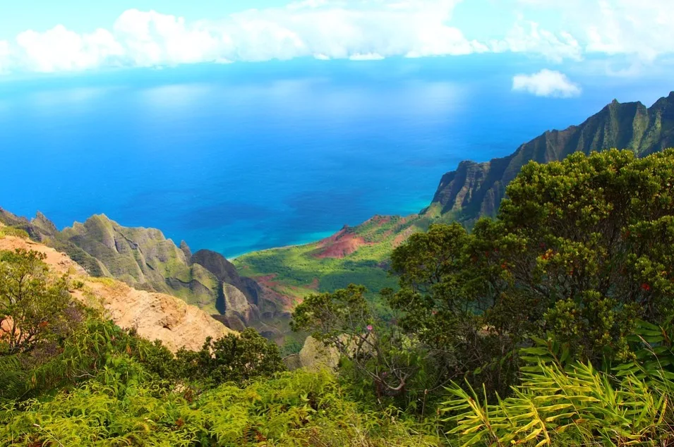 Kauai mountain top view