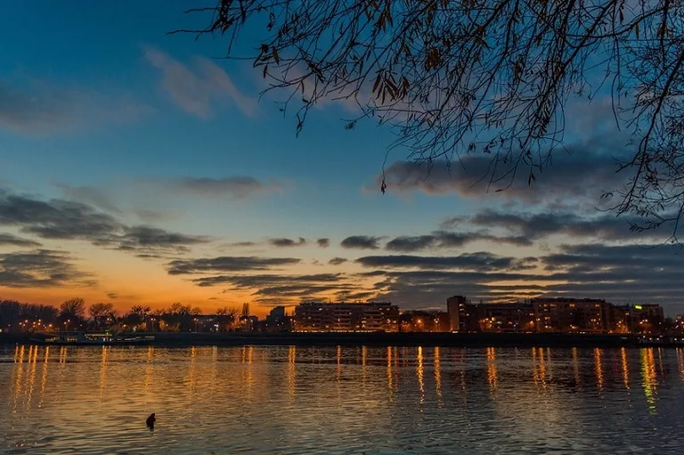 A view of Novi Sad from the river