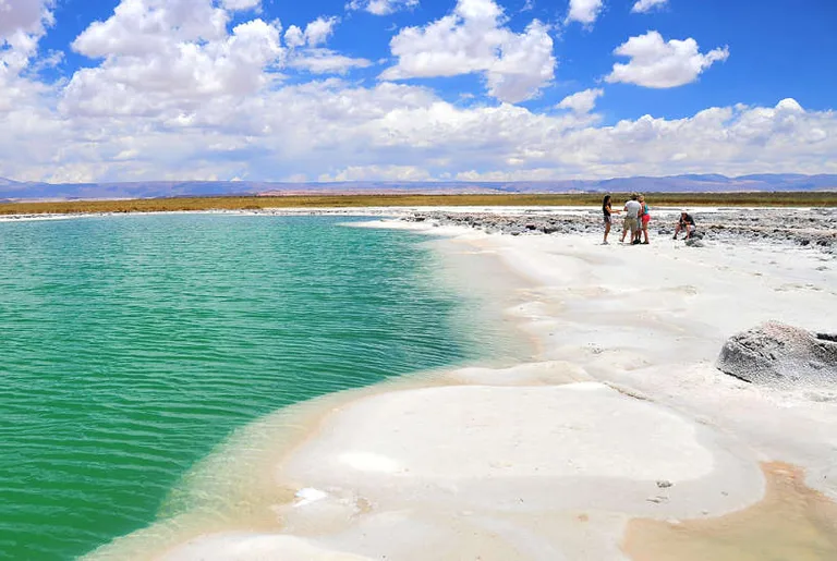 Water at Laguna Cejar