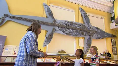 Dorset County Museum