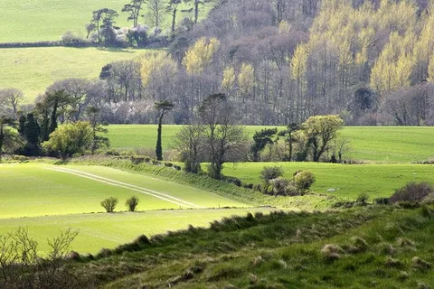 Climb Eggardon Hill