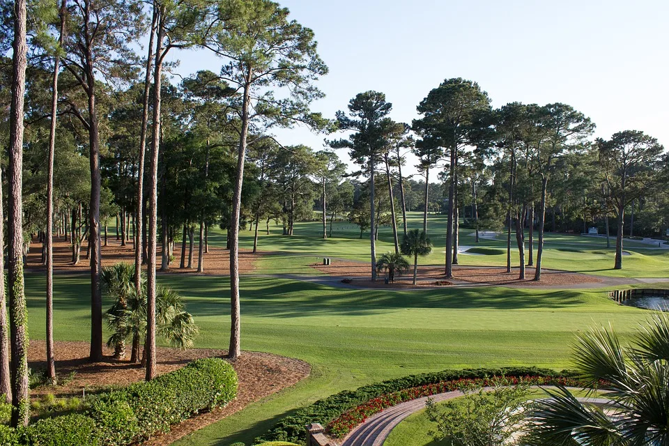 A Well-Tended Golf Course in South Carolina
