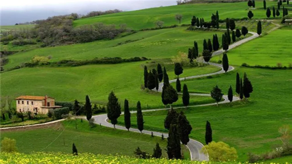 Ooty landscape in spring