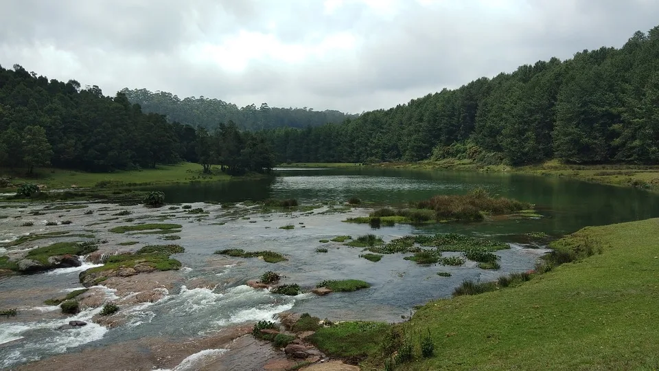 A beautiful lake in Ooty