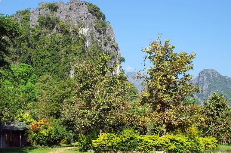 Vang Vieng cliffs and shrubbery in Laos
