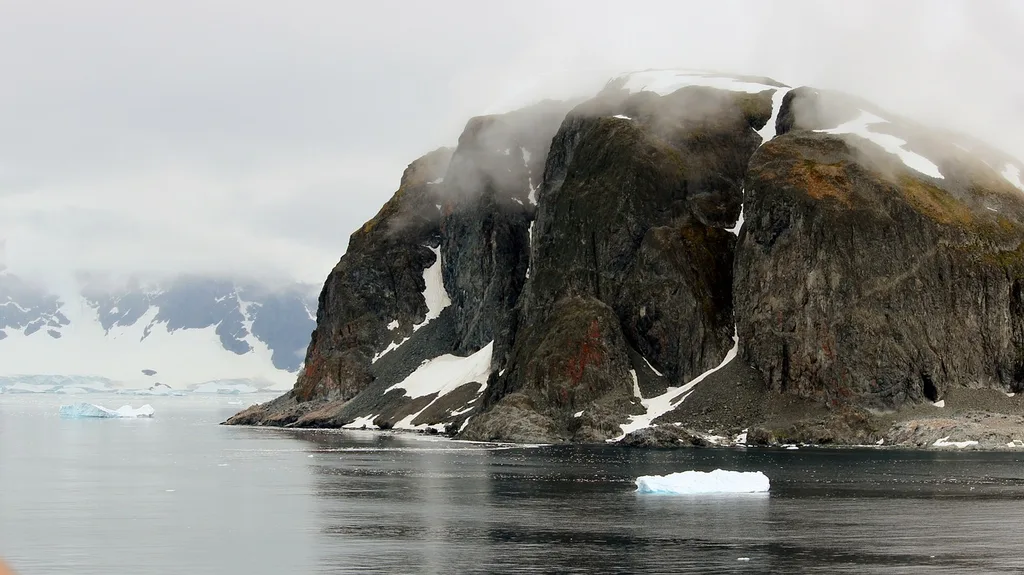 The only flora in Antarctica is grass