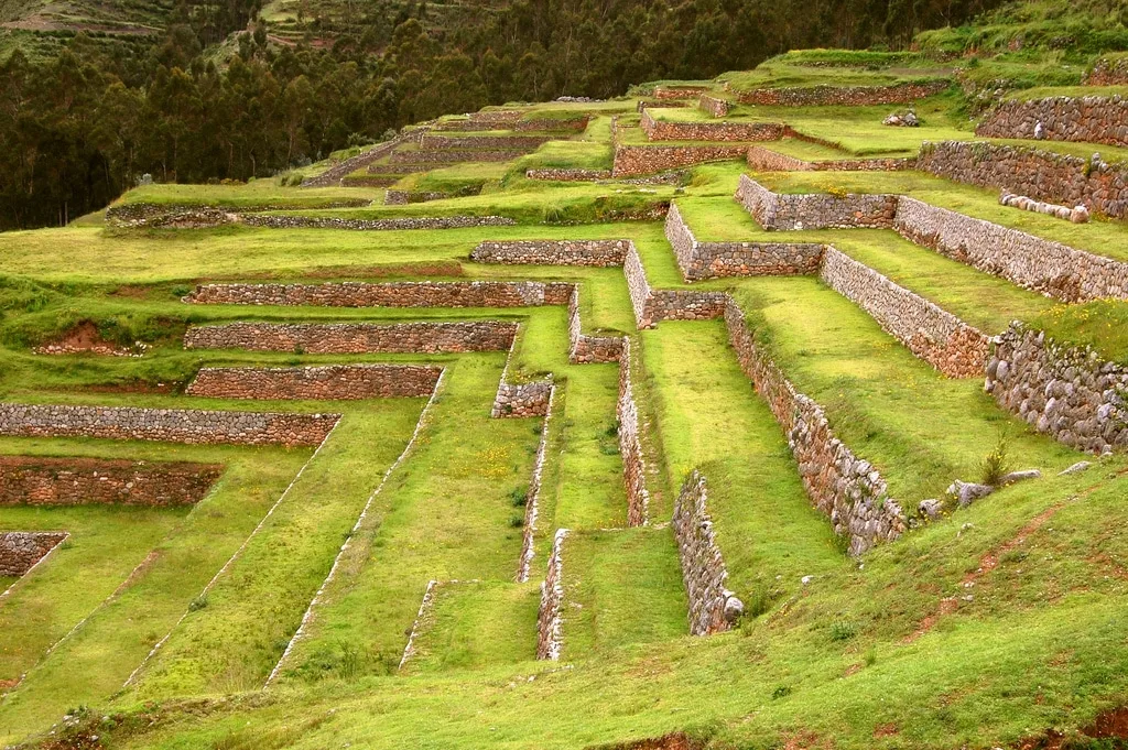 Terraces he ordered built for farming