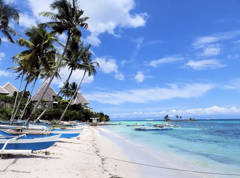 Lovely white beach with palm trees 