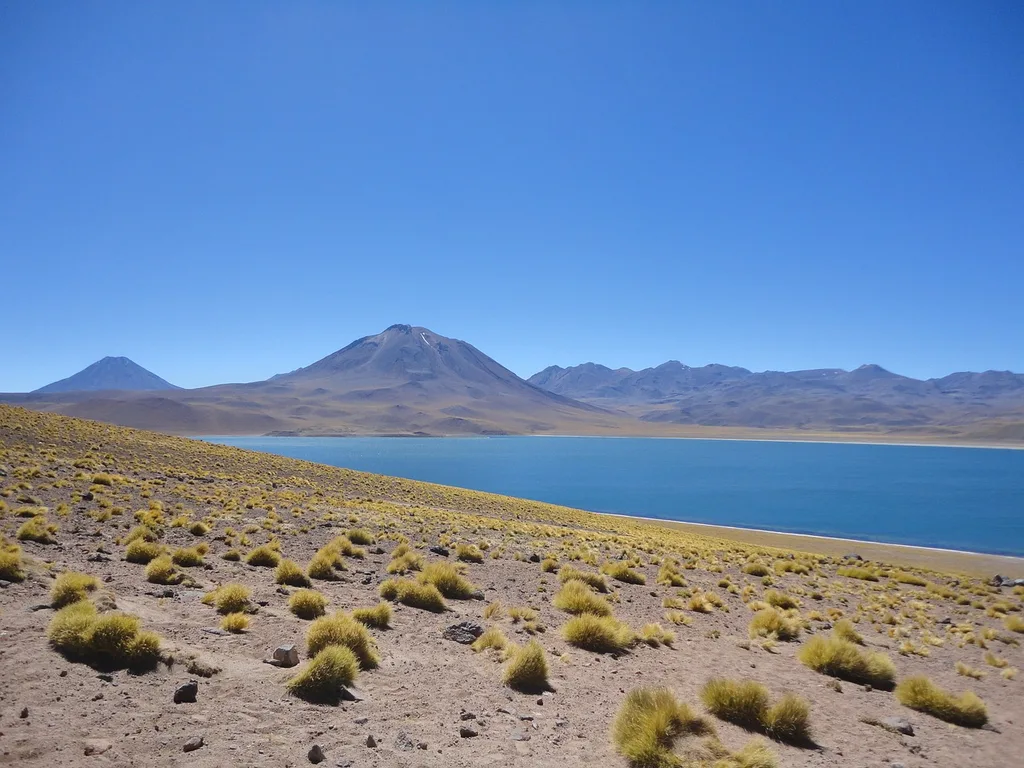 Enjoy the beautiful scenery as you ride in a bus across South America