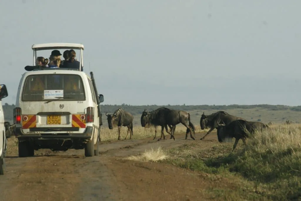 tourist in a van waiting for animals to cross in Kenya safari