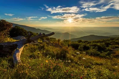 The 20 Best Things to Do in Harrisonburg VA