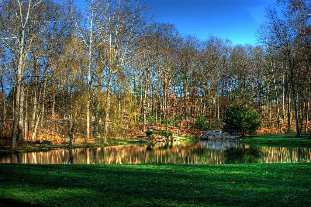 The pond at Edith J. Carrier Arboretum in Harrisonburg