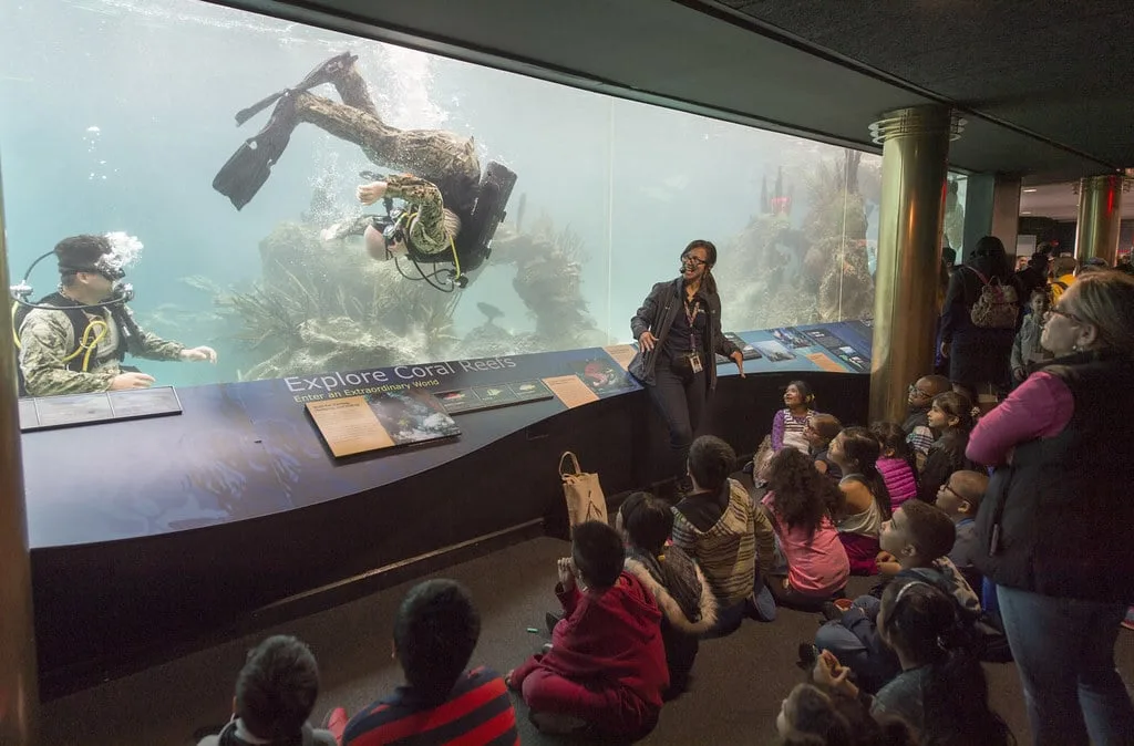 Divers entertain children at NYC aquarium