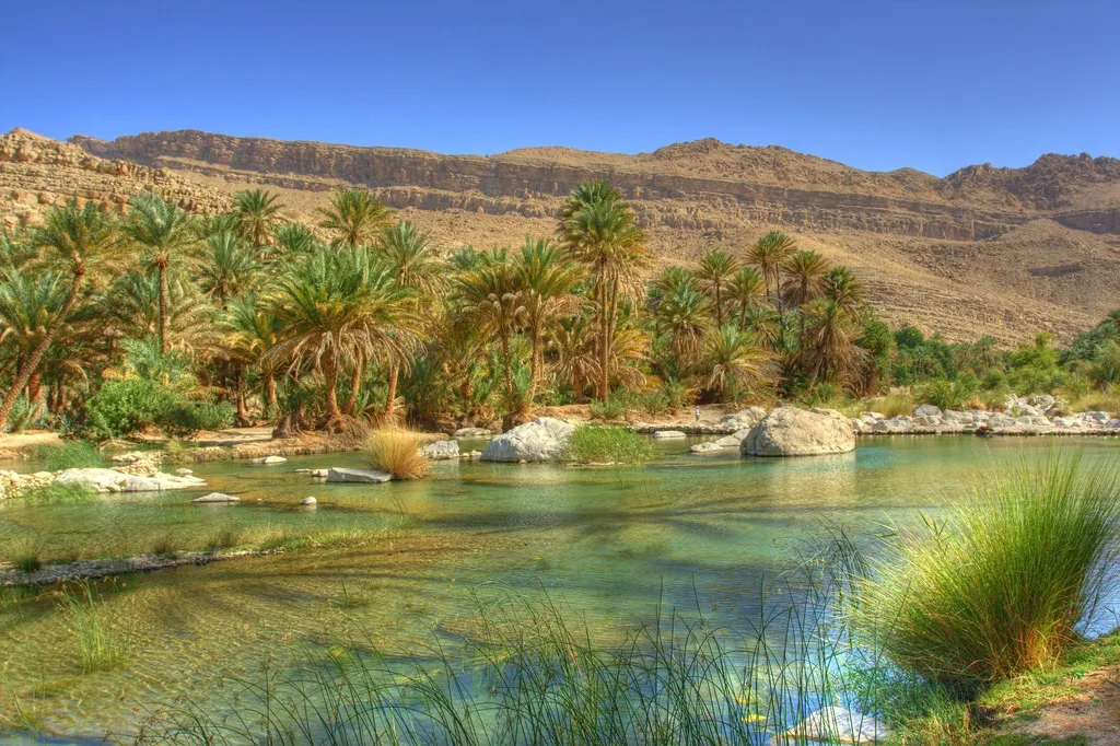 inexpensive tour in oasis of oman