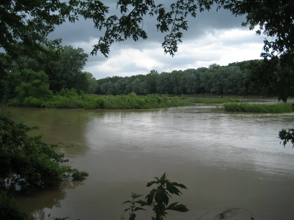 Lush vegetation around the Maumee River in northwest Ohio