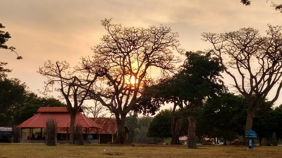 Wildlife Reserve at Bandipur at Sunset