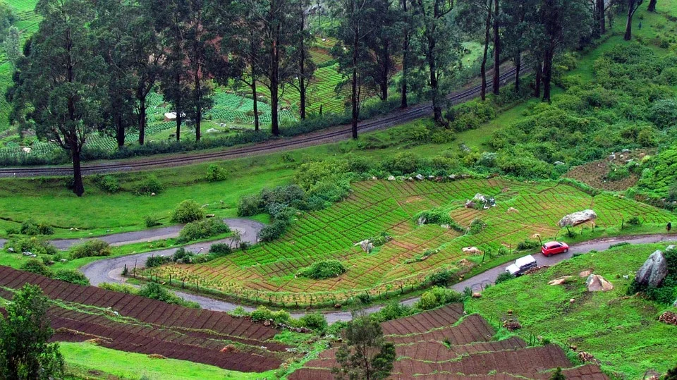 Road to the Ooty Hill Station