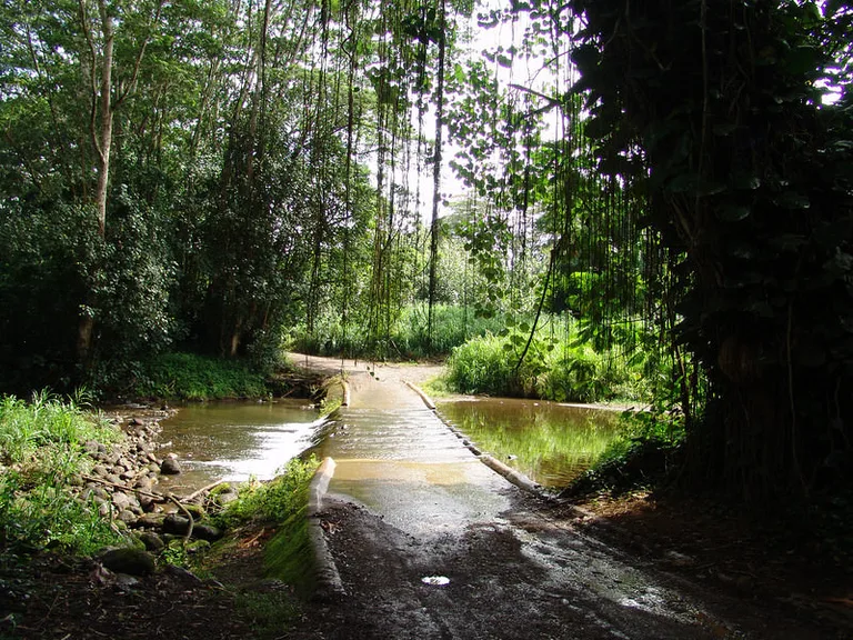 After the gate entrance