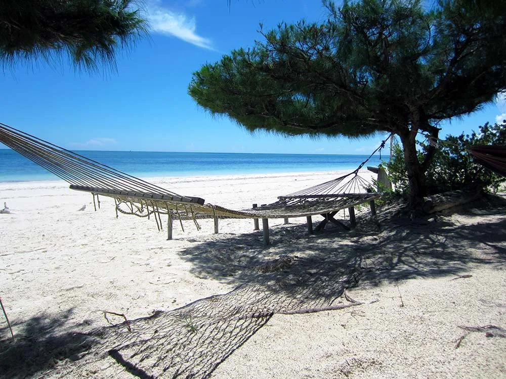 where to go in zanzibar