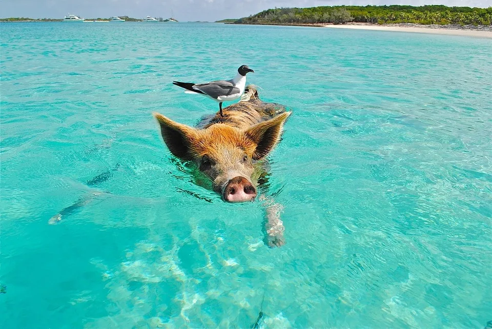 Visiting Bahamas in September