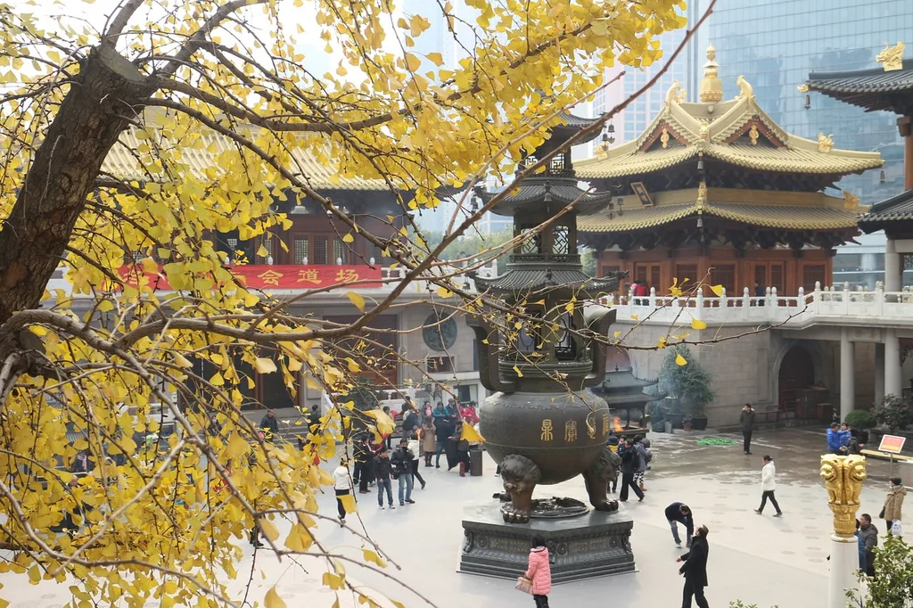 Autumn in ancient Shanghai