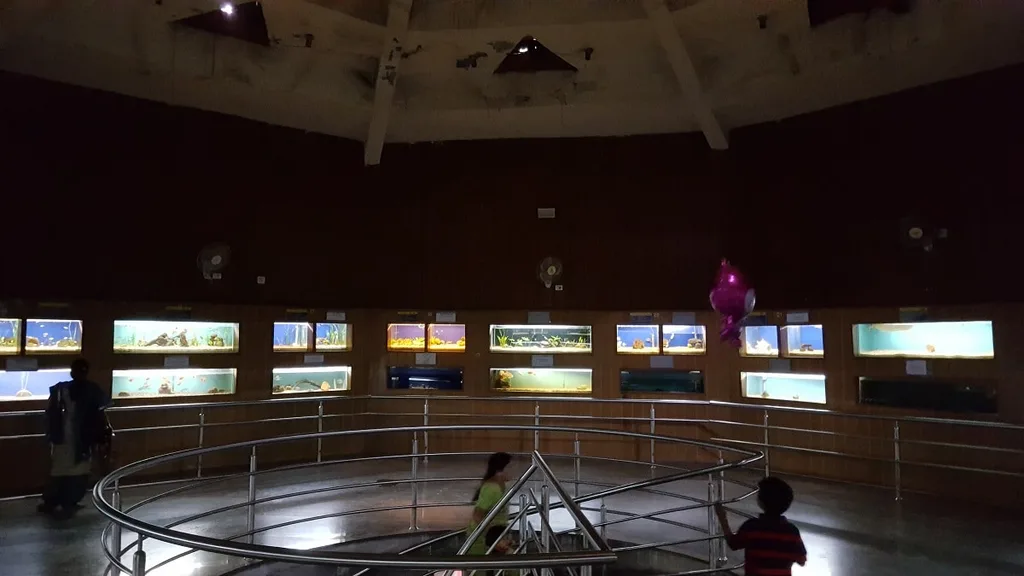 Bangalore Aquarium is the second largest aquarium in India