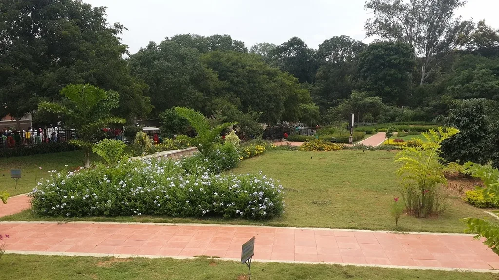Bannerghatta National Park in Bangalore